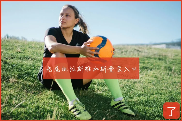 老虎机拉斯维加斯登录入口